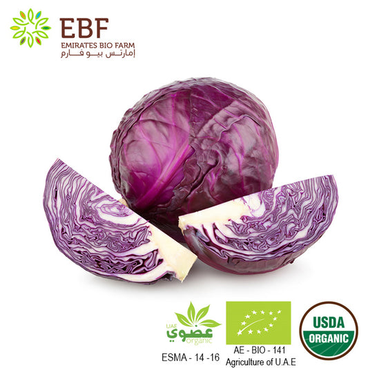 Organic Red Round Cabbage (1kg)