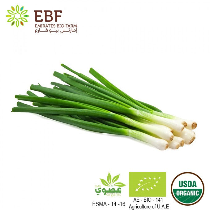 Organic Spring Onion - Bunch (100gm)